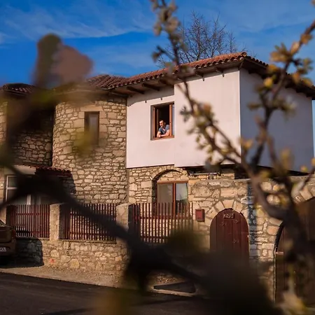 Villa Casa Holtea